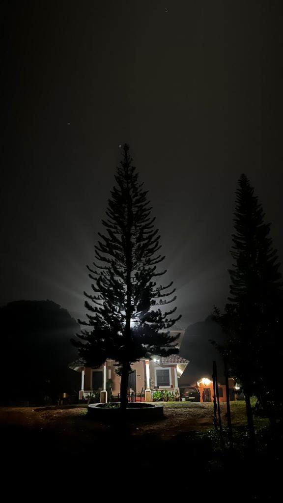 Janiro Tea Trees Villas Vythiri Exterior photo
